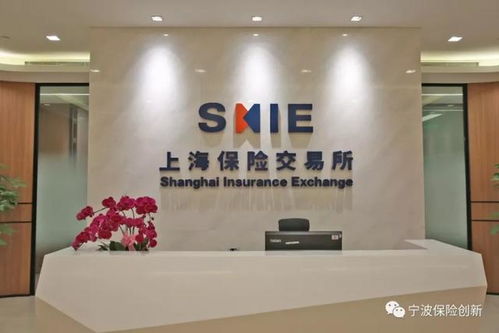 上海保交所科技公司正式落戶(hù)寧波，開(kāi)啟科技中介服務(wù)新篇章