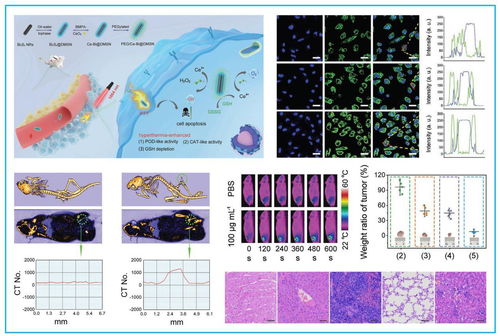 學(xué)校獲多項黑龍江省科學(xué)技術(shù)獎