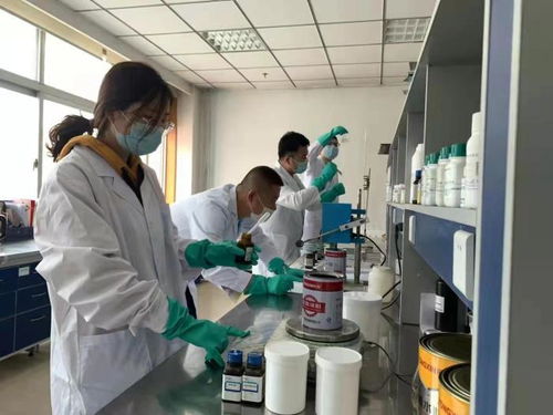 大陸_齊魯網(wǎng)