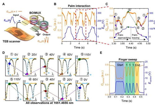 巧妙結(jié)合集成光子芯片和摩擦電技術,新加坡國立大學團隊研發(fā)高速通信基礎設施的生物識別保護技術
